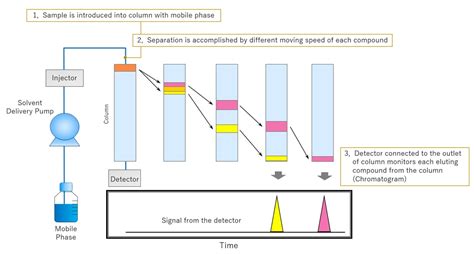 hplc data interpretation|high performance liquid chromatography hplc.